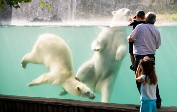 Parc zoologique et botanique