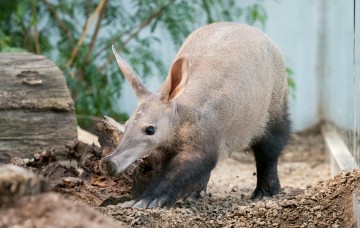 Parc zoologique et botanique